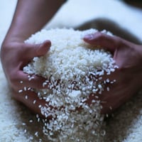【先行予約】無の会 ― RICE ―