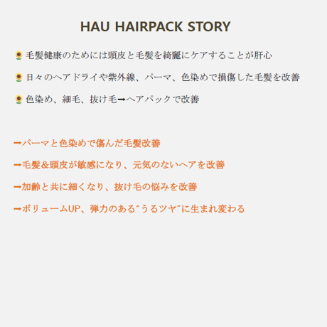 HAUヘアパック（１箱５枚入り）