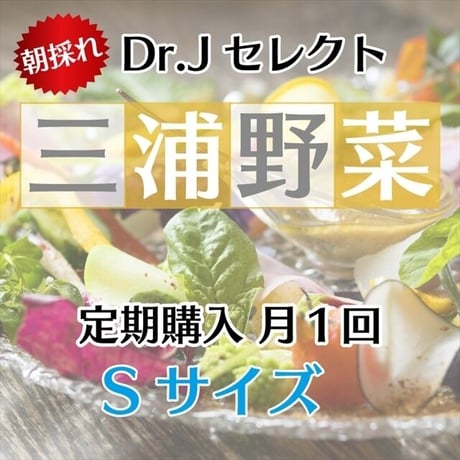 【定期便 毎月1回】【 Sセット】Dr.苅部セレクト 旬の朝採れ三浦野菜
