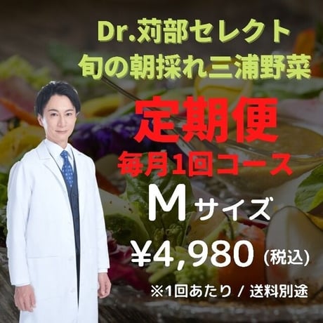 【定期便 毎月1回】【 Mセット】Dr.JUNセレクト 千葉の無農薬野菜！！毎月旬のお野菜が月初のお届けとなります。