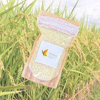 Dr,JUNオリジナル玄米（2合）×5袋　予約販売！！