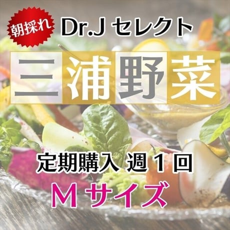 【定期便 週1回】【 Mセット】Dr.苅部セレクト 旬の朝採れ三浦野菜