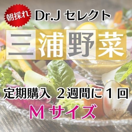 【定期便 2週に1回】【 Mセット】Dr.苅部セレクト 旬の朝採れ三浦野菜