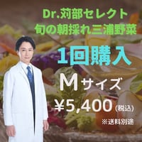 【Mセット】Dr.JUNセレクト 旬の朝採れ千葉野菜　（１回お試し）毎月旬のお野菜が月初のお届けとなります。