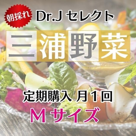 【定期便 毎月1回】【 Mセット】Dr.苅部セレクト 旬の朝採れ三浦野菜