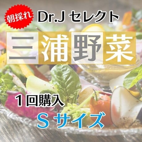 【 Sセット】Dr.苅部セレクト 旬の朝採れ三浦野菜