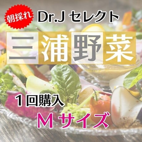 【Mセット】Dr.苅部セレクト 旬の朝採れ三浦野菜