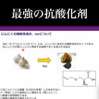 SAC(60粒入り）