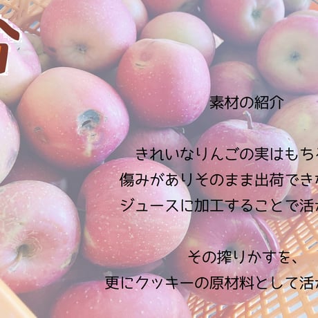 【直接受け取り】分福ベイクR やわ焼きクッキー カカオ＆ラムレーズン