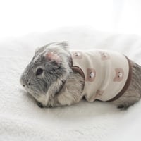 モルモット服 くまさん柄 ベージュ