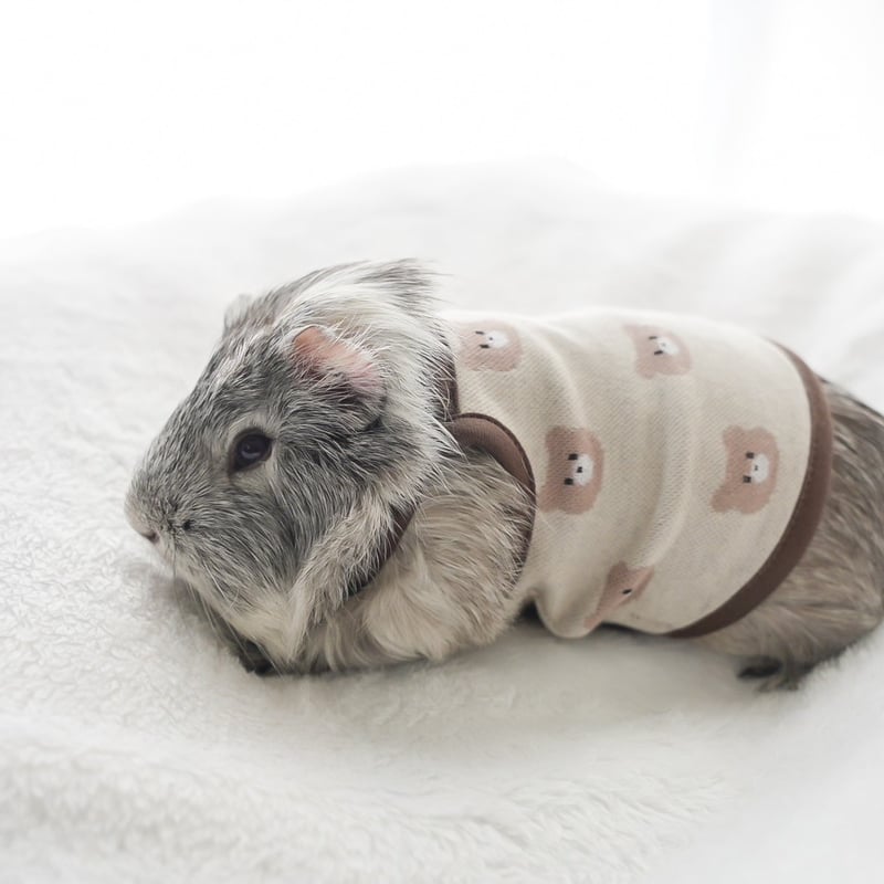 オーダー受付ページ⭐︎モルモット服 牛さん柄 オーダー受付ページ⭐︎モルモット服 牛さん柄 モルモット服 牛さん柄