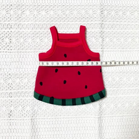 モルモット服 なりきりスイカ レッド