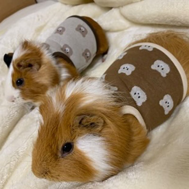 オーダー受付ページ⭐︎モルモット服 くまさん柄 モルモット服 くまさん柄 ブラウン | モルモット服専門 morucolle