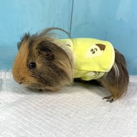 モルモット服 ソフトクリーム柄 イエロー