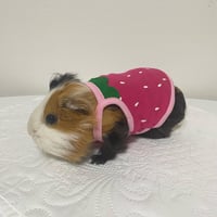 モルモット服 なりきりいちご ピンク