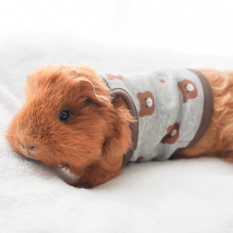 ゆず☆モルモット服 こどもサイズ3点おとなサイズ1点 ゆず☆モルモット服 こどもサイズ3点おとなサイズ1点 ゆず