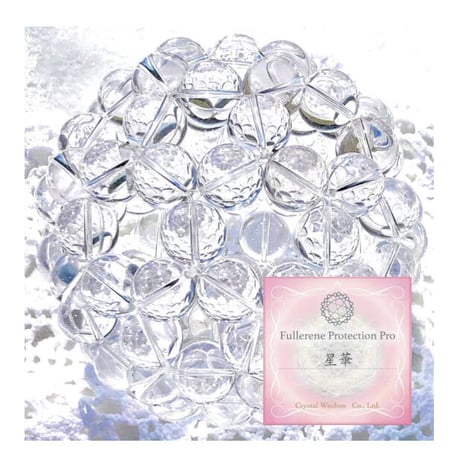 フラーレンプロテクション | STORES