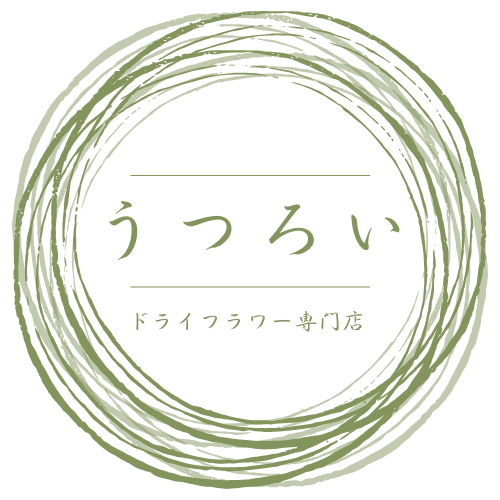 ドライフラワー専門店「うつろい」