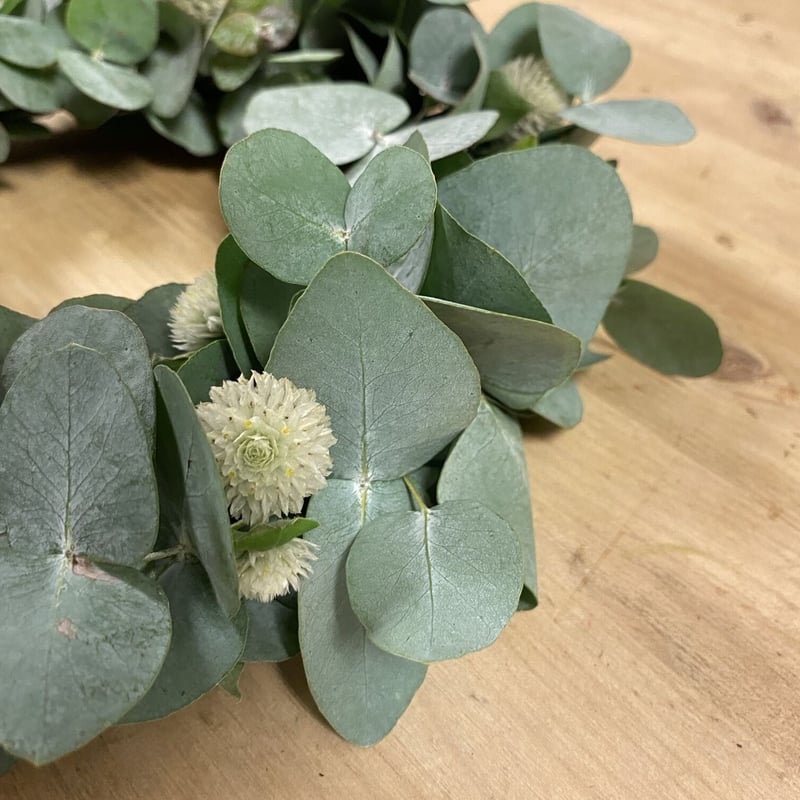 紫陽花とエリンジウムの爽やかオーバルリース　千日紅　ユーカリ 紫陽花とエリンジウムの爽やかオーバルリース 千日紅 ユーカリ