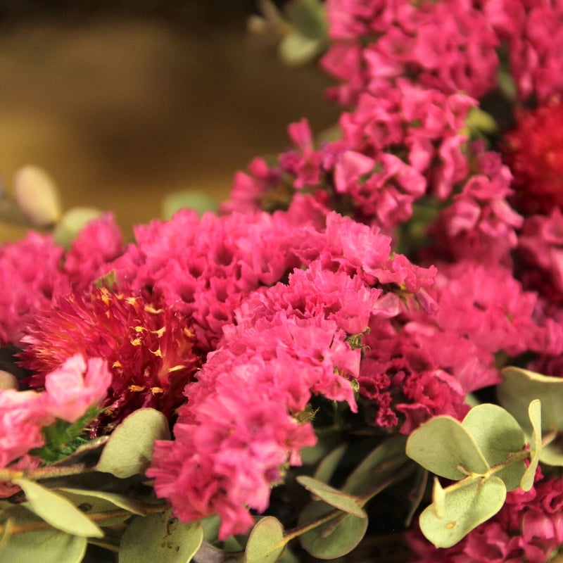 ドライフラワー❇️紅ヅル オリジナルリース用❣️ ドライフラワー