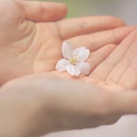 オンライン手相講座【11】指一覧、北欧手相術