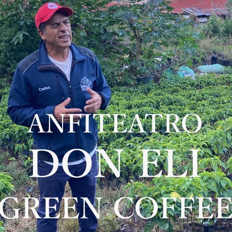 【生豆】-DIRECT TRADE NEW CROP - Don Eli / Costa Rica / Catuai / White Honey (ドン・エリ農園 アンフィテアトロ区画)