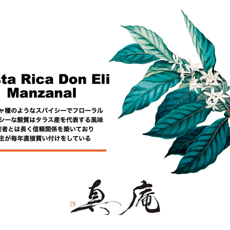 【Don Eli】Costa Rica / Bourbon / Honey 【ドン・エリ マンザナール】(コスタリカ/ ブルボン/ ハニー)