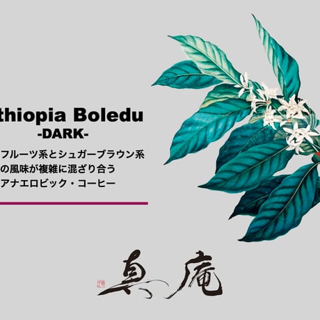 【Boledu】Ethiopia / Heirlooms / Anaerobic Natural 【ボレドゥ】(エチオピア/ ヘアルーム/ ナチュラル)