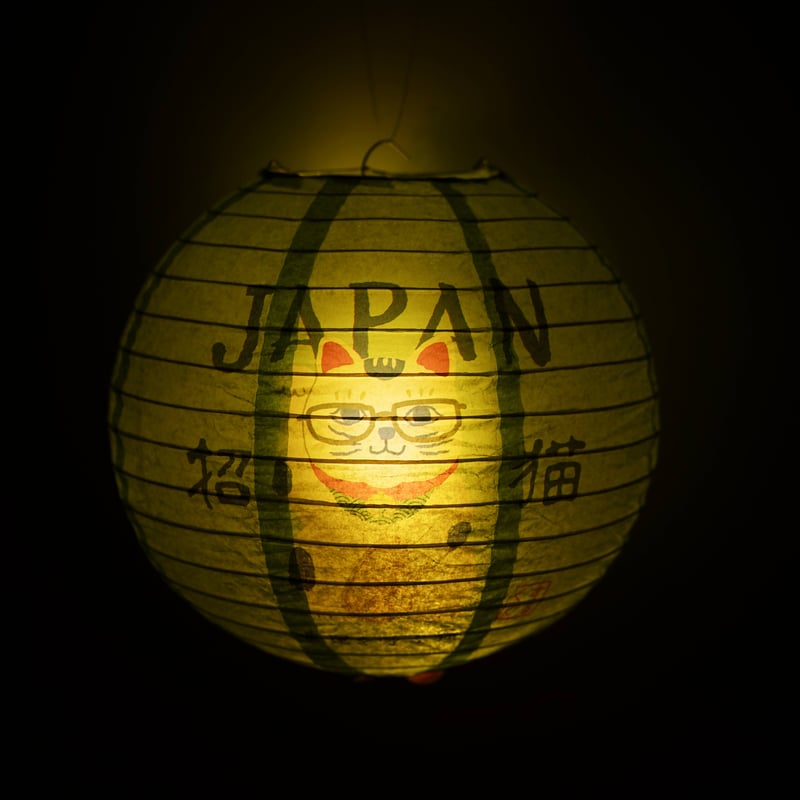 10011 ちょうちん ライト付き 猫招き柄 | KUSUGURU STORE