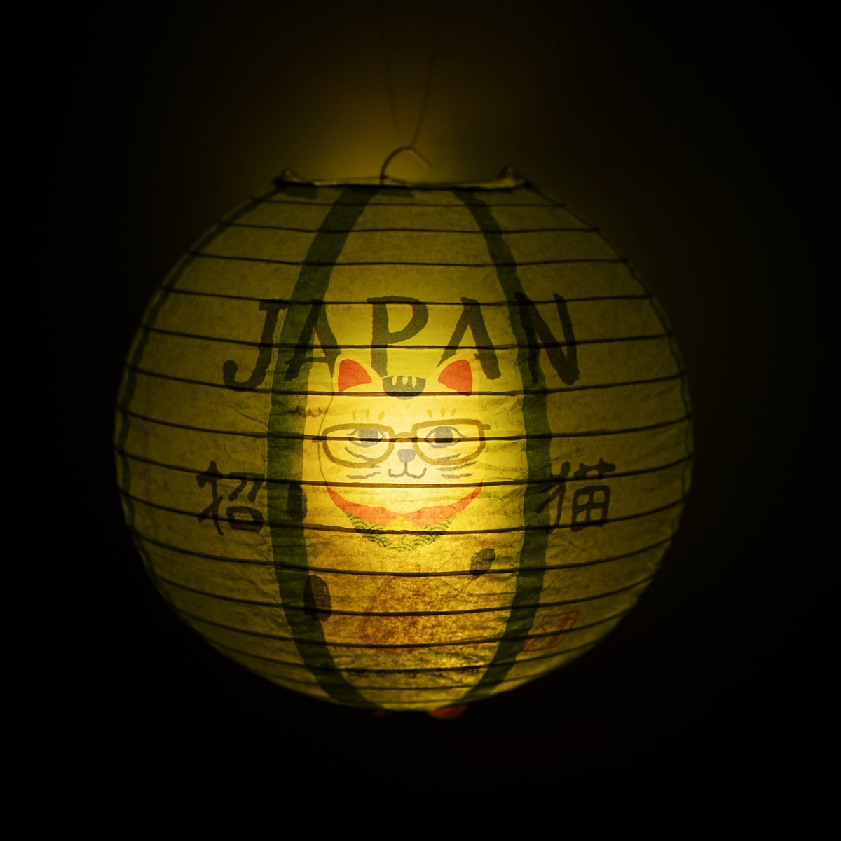 10011 ちょうちん ライト付き 猫招き柄 | KUSUGURU STORE