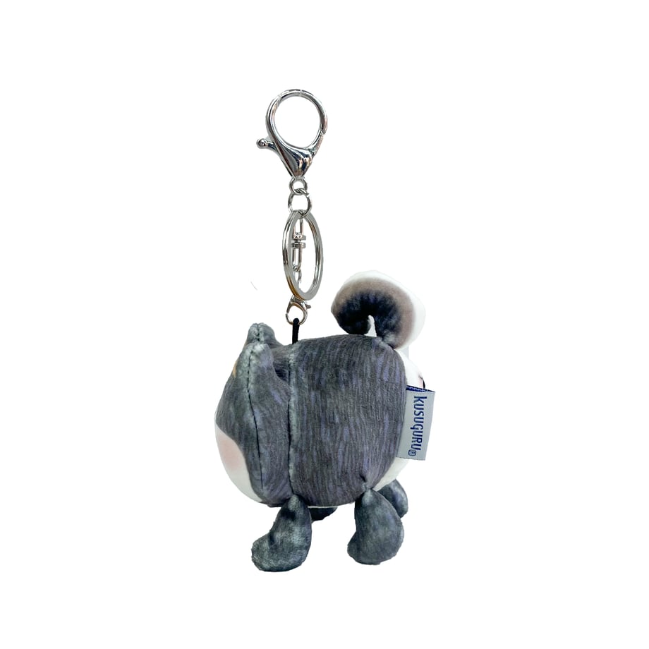 68c27a2129bb80232605ba99