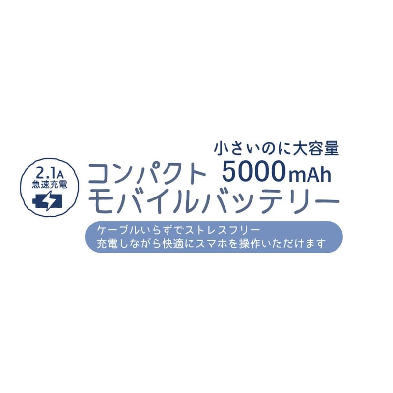 25-8100 コンパクトモバイルバッテリー B型 アニマルモード柄 5000mah