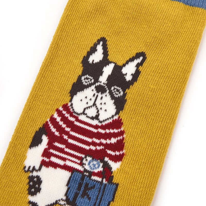 くつ GUNZE グンゼ アクティブスタイル スニーカーソックス 2足セット 23