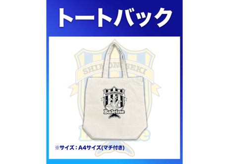 FCバレイン下関 トレーニングウエア 3点セット バレイン下関