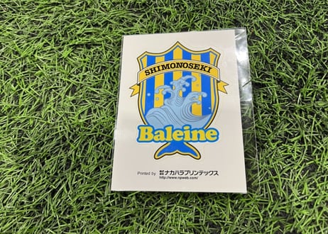 FCバレイン下関