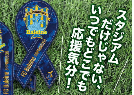 バレイン下関トレーニングジャージ FCバレイン下関トレーニングジャージ