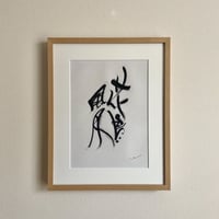 花鳥風月