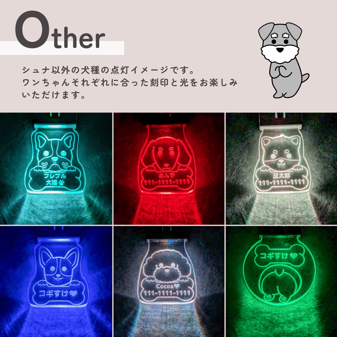 光る迷子札🐾LEDお散歩ピカピカライト🐾 | シュナウザー雑貨専門店