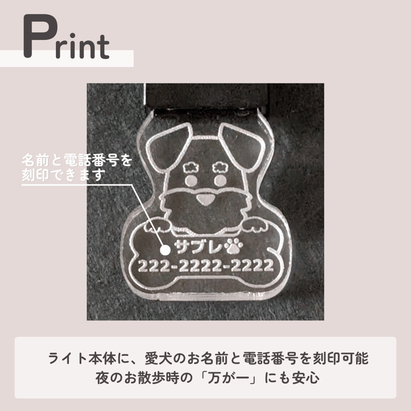 光る迷子札🐾LEDお散歩ピカピカライト🐾 | シュナウザー雑貨専門店