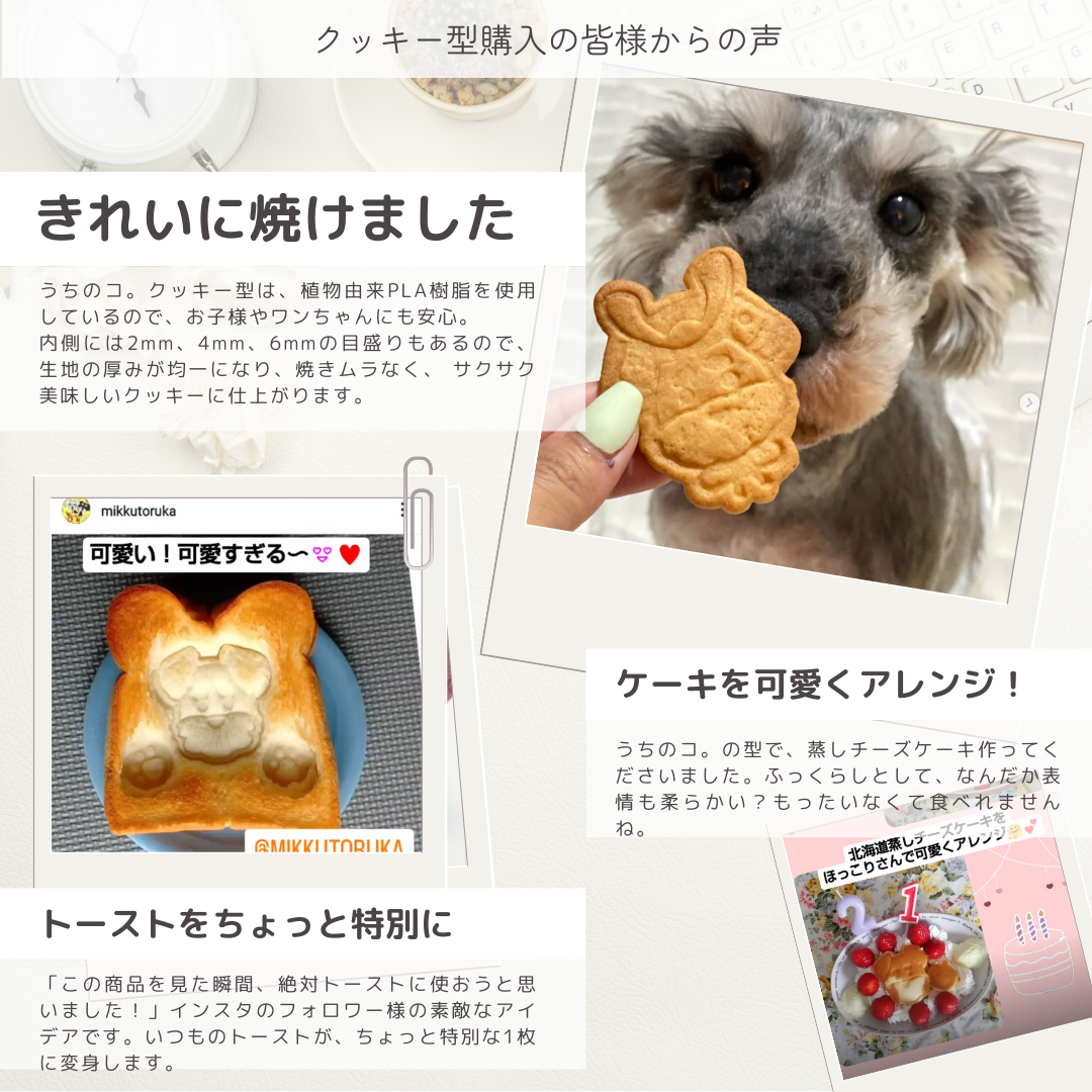 ☆希少☆ ファークラフト 抱き型ティーカッププードル リボン付き