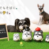 シュナウザー雑貨専門店『うちのコ。』