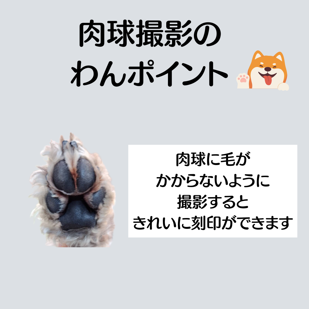 肉球コースターです❣️王一博 肖戦 博君一肖 レジン　肉球コースター0727 BXです❣️王一博 肖戦 博君一肖 レジン 肉球コースター0731 一