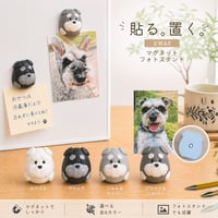 シュナウザー“ほっこりさん”の貼る・置く 2WAYマグネットフォトスタンド