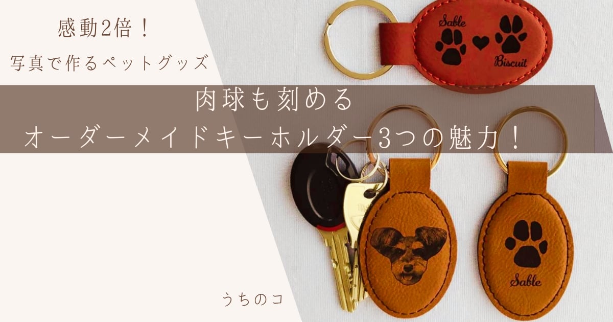 fit=pad,format=jpeg,w=1200