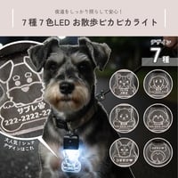 光る迷子札🐾LEDお散歩ピカピカライト🐾