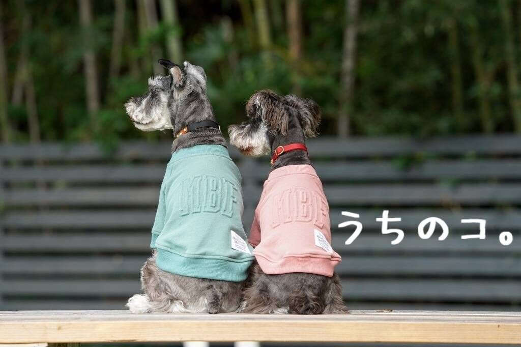 4匹の犬種が選べる特別デザイン｜オーダーメイド木製掛け時計 4匹の犬種が選べる特別デザイン｜オーダーメイド木製掛け時計
