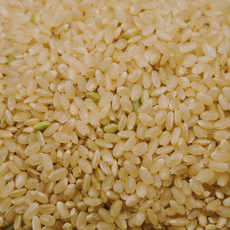 順次発送中|玄米】 ななつぼし 令和7年産 栽培期間できるだけ農薬を