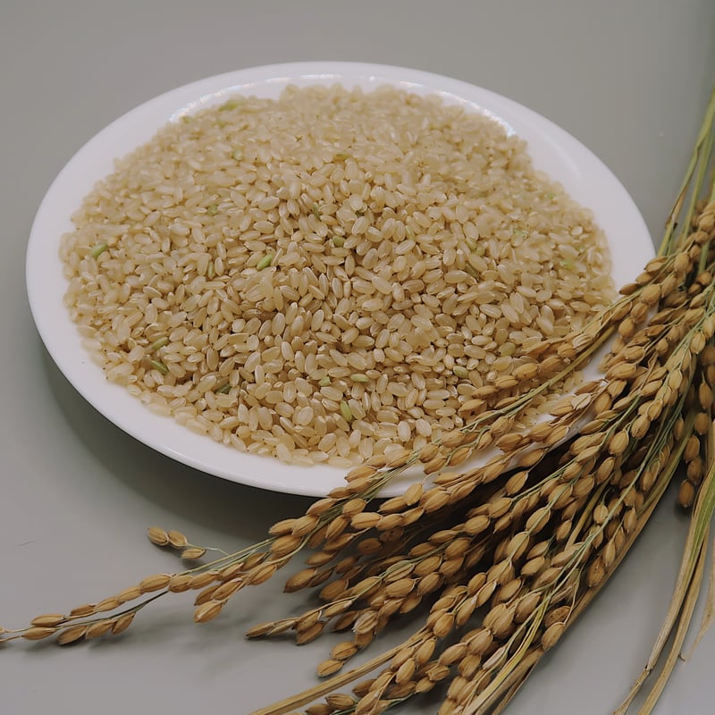 順次発送中|玄米】 ななつぼし 令和7年産 栽培期間できるだけ農薬を