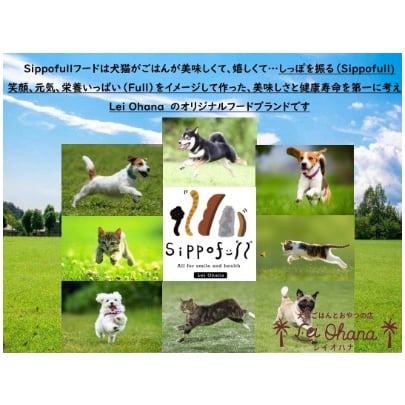国産無添加ドッグフードSippofullオールMIX1kg（複数点購入割引あり
