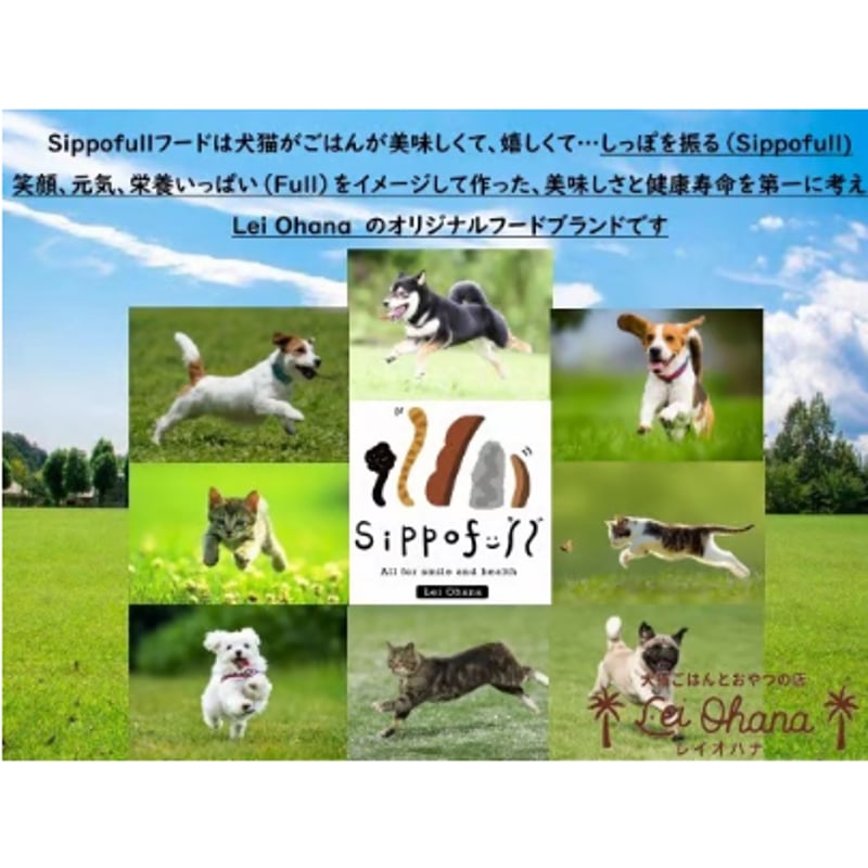 国産無添加ドッグフードSippofull・フィッシュ1kg（複数点購入